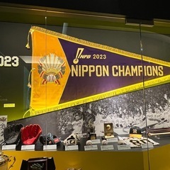 阪神ファン仲間募集中