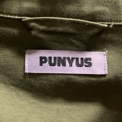 PUNYUS ジャケットの画像