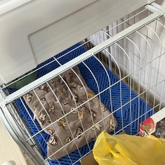 犬用ケージ（約94×64×70cm／トレー付き／使用約2年）の画像