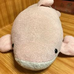 （中古）イルカのぬいぐるみの画像