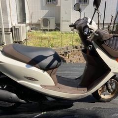 HONDA Dio チェスタ【自賠責1年以上付】
