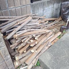 伐採した木材