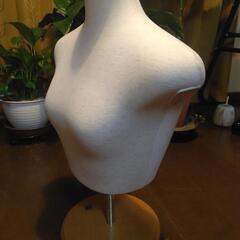 マネキン　トルソーの画像