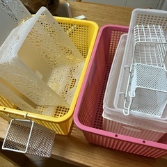 100均/収納の画像