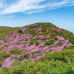 登山(カメラも)、カラオケ、釣り友達募集中です！