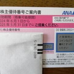 ANA株主優待券１枚
有効期限2025年5月31日まで