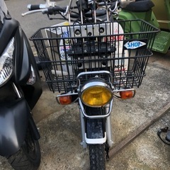 カブ　　110の画像