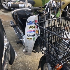 カブ　　110の画像