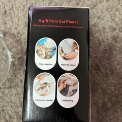 猫用🐱ヘルメット　の画像