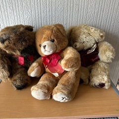 クマ(ハロッズ)ぬいぐるみの画像