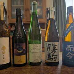 【4/13(日)】日本酒会🍶初参加、お一人様大歓迎！