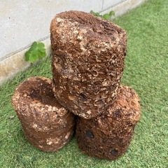カブトムシ幼虫餌　椎茸廃菌床ブロックの画像