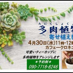 【お茶付】多肉植物寄植え教室