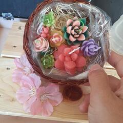 アロマキャンドル 多肉植物 