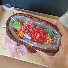 アロマキャンドル 多肉植物  
