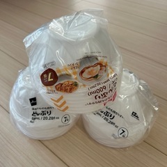 丼　使い捨て