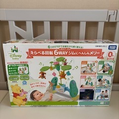 プーメリーの中古が安い！激安で譲ります・無料であげます(3