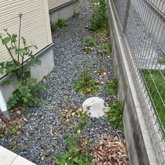 お庭の草むしり　お願いする方決まりました。返信出来なかった方々申...