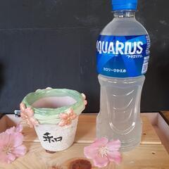 リメイク鉢 鉢 素焼き鉢 桜の画像