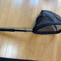 [最終値下げ！]サップの画像