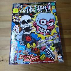 ドキドキクラッシュ人体模型(脾臓パーツ欠品)　83245