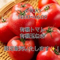 有機トマト、有機玉ねぎ
