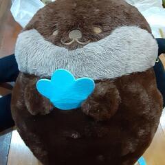 ラッコの赤ちゃん　ぬいぐるみ