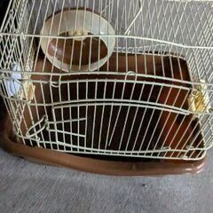 ゲージ