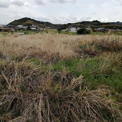 🚜【草刈り練習したい人へ｜福岡県八女市】🌾