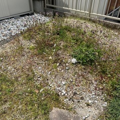 砂利と砂貰ってください
の画像