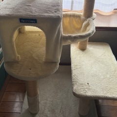 キャットタワー、猫トイレお譲りします