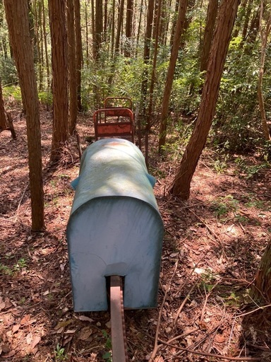 モノレール(レール150m付)