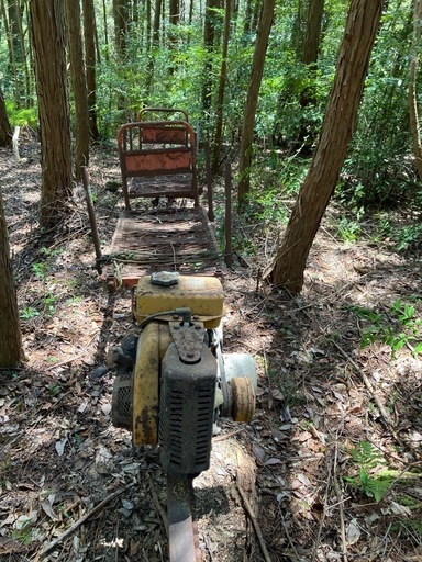 モノレール(レール150m付)