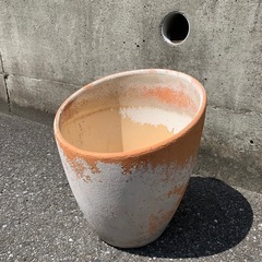 テラコッタ植木鉢差し上げます！