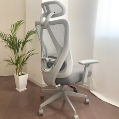 値下げ【新品・グレー】オフィスチェア・C5 Flexispotの画像