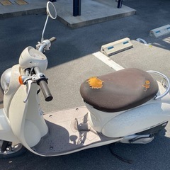 ホンダ　スクーピー
