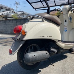 ホンダ　スクーピー
の画像