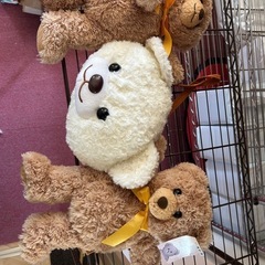 クマ カバン