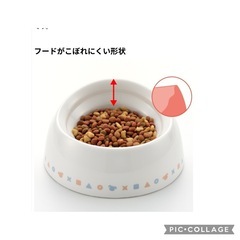 🉐Richell  リッチェル  ワンちゃんの食べやすい食器 S 深型  定価¥1200の画像