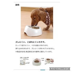 🉐Richell  リッチェル  ワンちゃんの食べやすい食器 S 深型  定価¥1200の画像