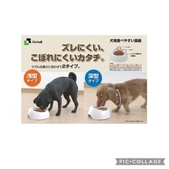 🉐Richell  リッチェル  ワンちゃんの食べやすい食器 S 深型  定価¥1200の画像