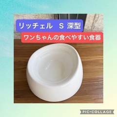 ⭕️Richell  リッチェル  ワンちゃんの食べやすい食器 ...