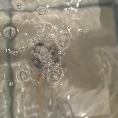 水槽セットの画像