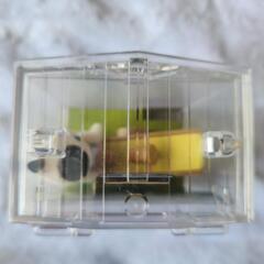 値引き　シルバニアファミリー　600円→500円の画像