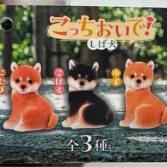 値下げ↓未使用◆ぬいぐるみ◆しば犬◆こはる◆の画像