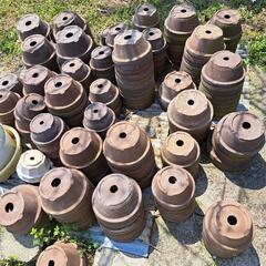 ①　植木•盆栽鉢　5～7号鉢　無料