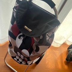 【美品】ショッピングカート の画像
