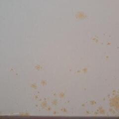 「NARUMI」天使のおくりものの画像
