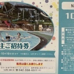 東京サマーランドチケット