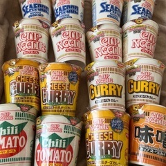 カップヌードル各種 16個セット